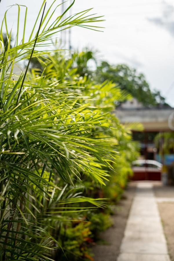 Casa Sabina Bacalar Hotel Esterno foto